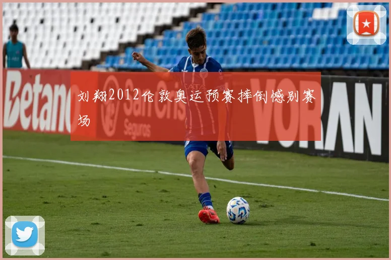 刘翔2012伦敦奥运预赛摔倒憾别赛场